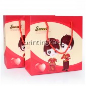 Paper Bag " Wedding Story Rope " ( DQ-510 )