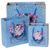 Paper Bag " Idyllic Blue " ( RD-515 )
